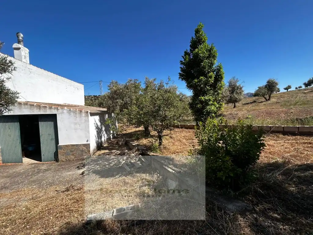 Finca rústica en venta en Partidas Norte