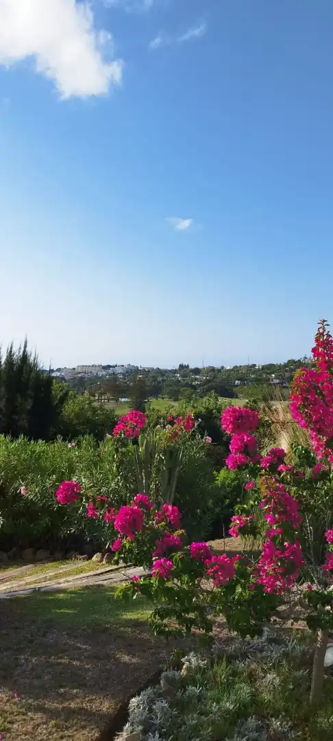 Piso con piscina en venta en Nueva Andalucía, imagen 59