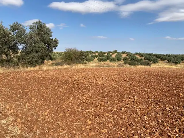 Terreny rústic en venda a Sonseca, imagen 8