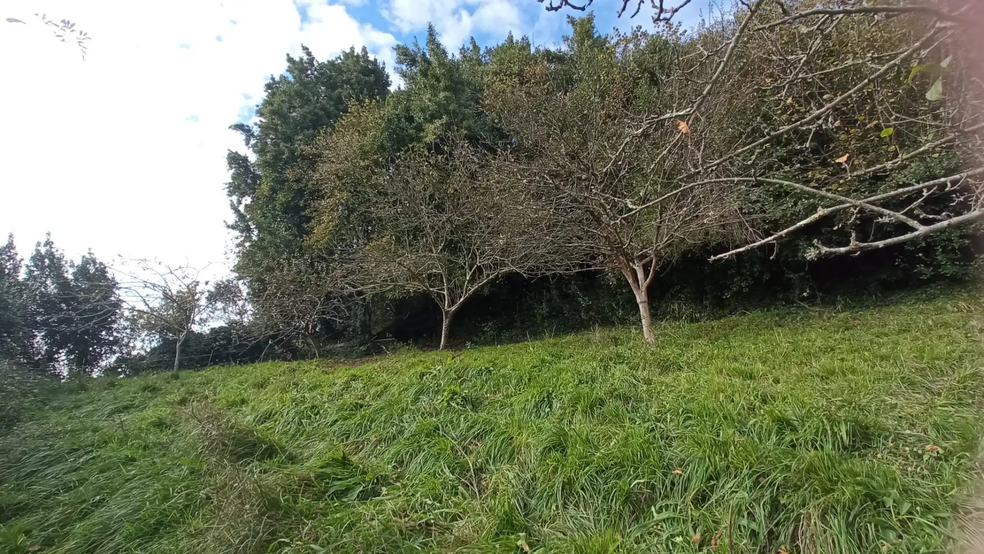 Finca rústica en venta en Sariego con Jardín privado y Amueblado