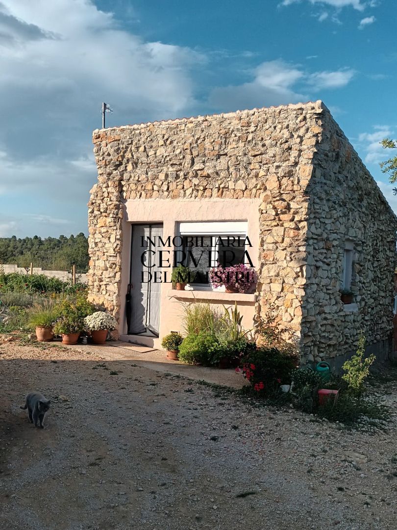 Exterior view of Country house for sale in Cervera del Maestre