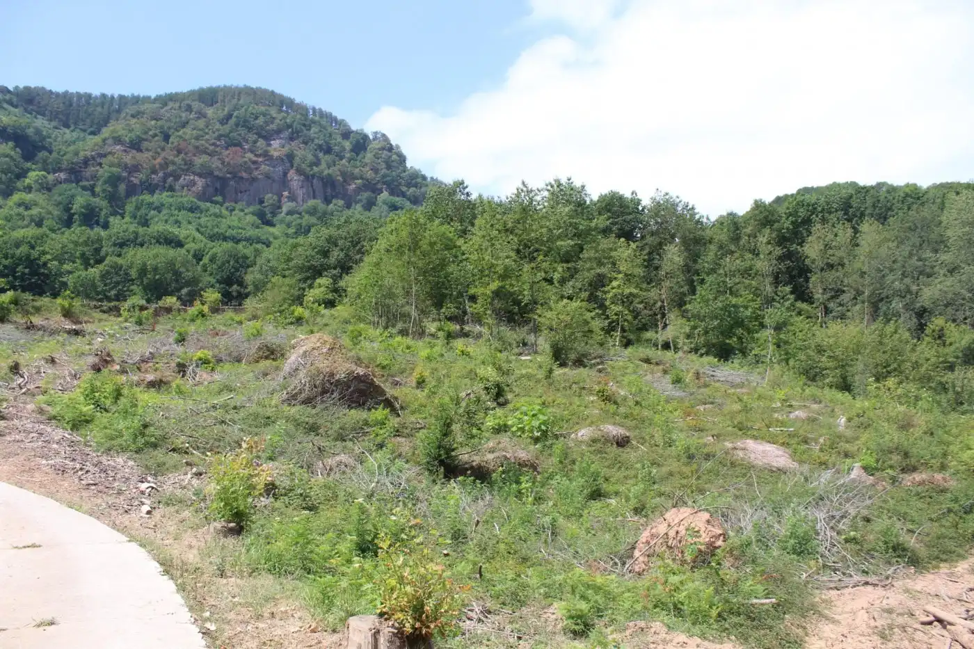 Finca rústica en venta en Sunbilla