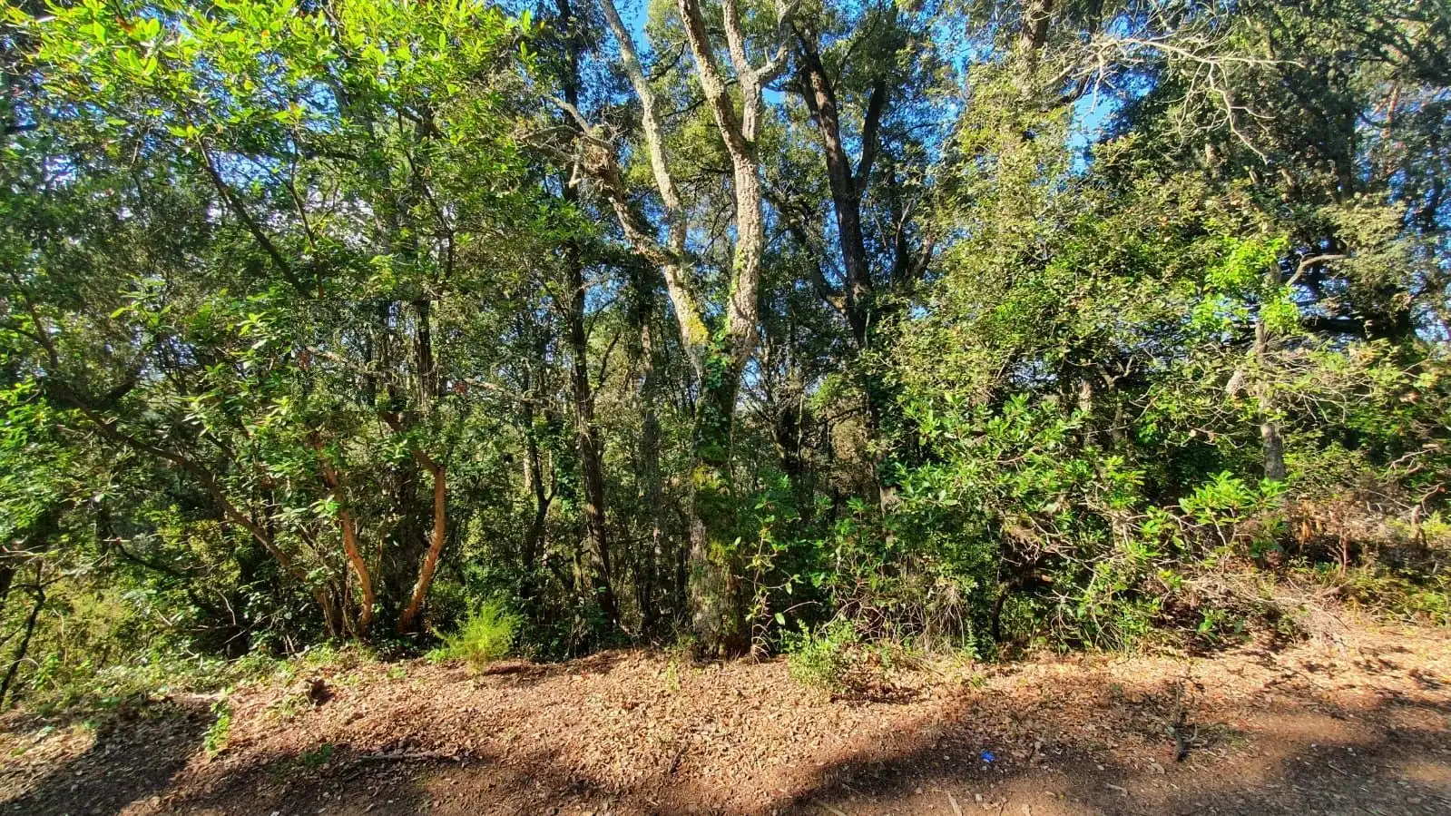 Grundstücke zum Verkauf in Sant Celoni
