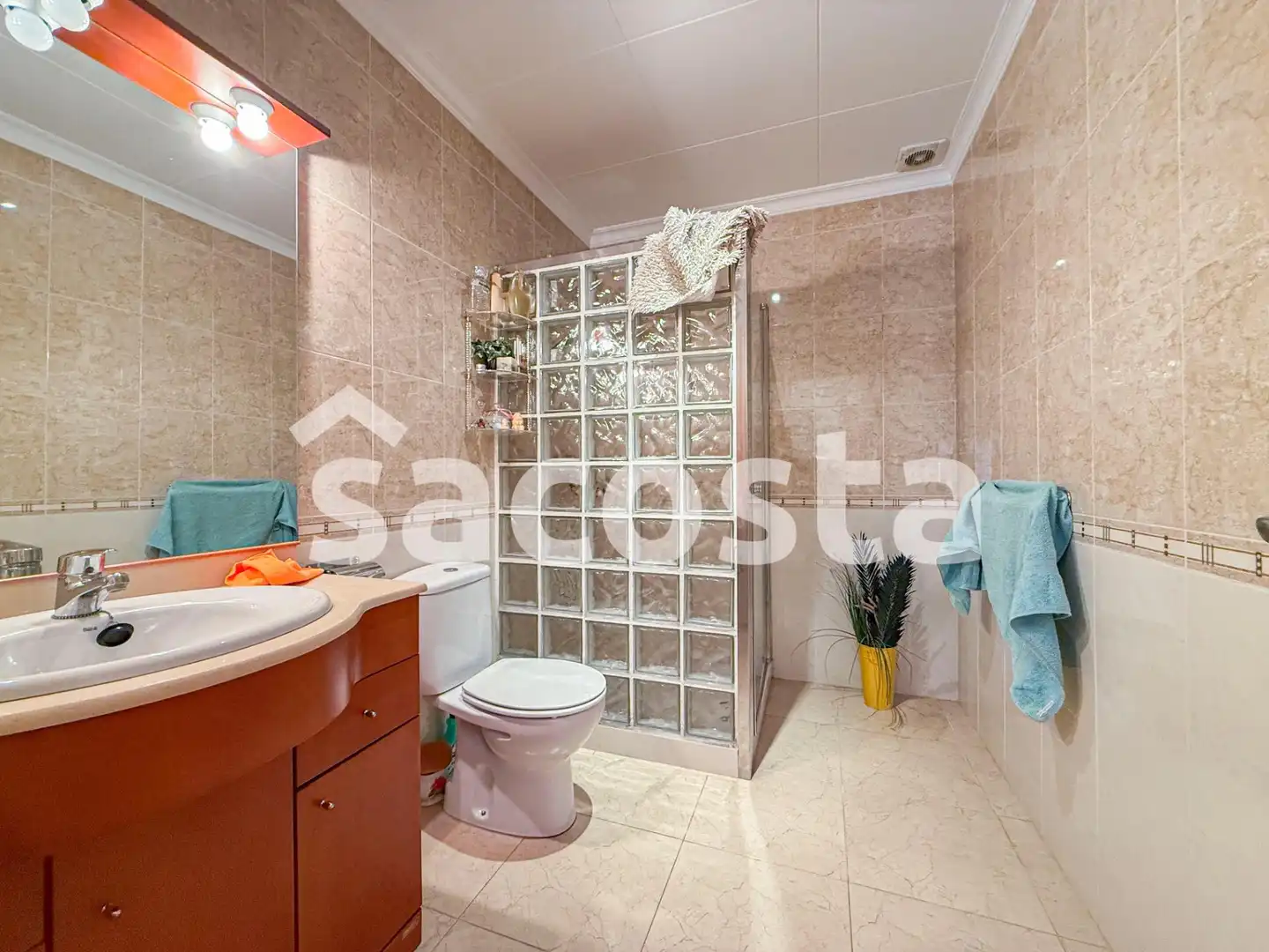Bany de Casa o xalet en venda en Blanes amb Aire condicionat, Jardí privat i Terrassa