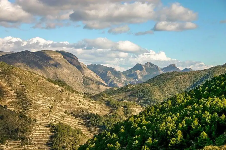 Vista exterior de Finca rústica en venta en Relleu con Aire acondicionado, Jardín privado y Terraza