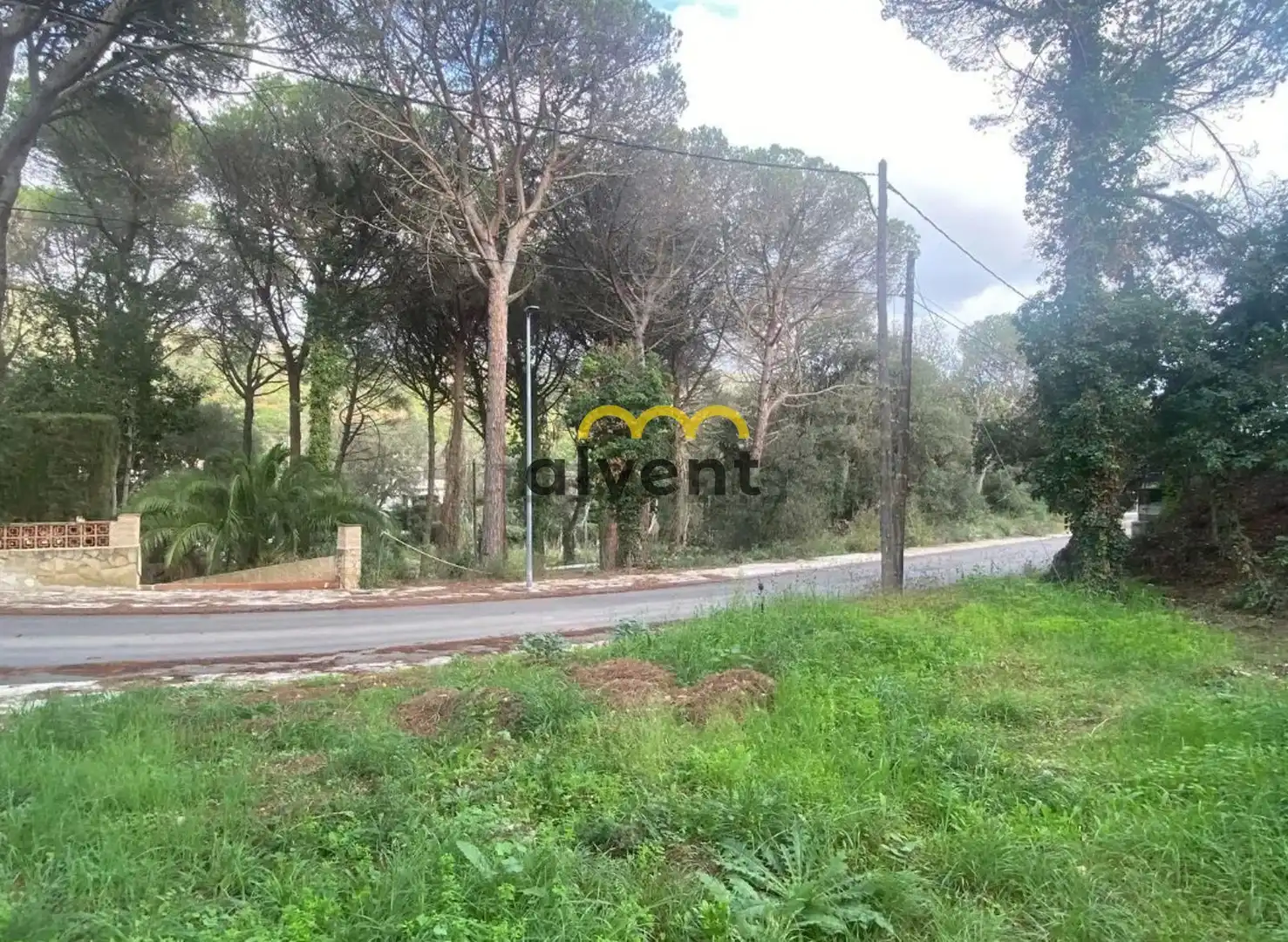 Rural land for sale in Manxa, imagen 4