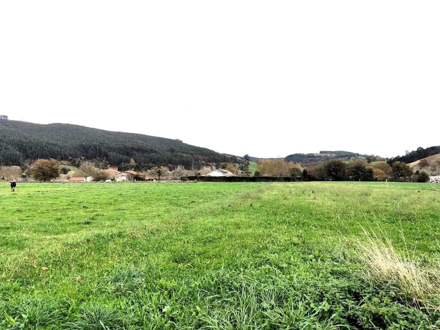 Grundstücke und Bauplätze zum Verkauf in Castañeda, imagen 2