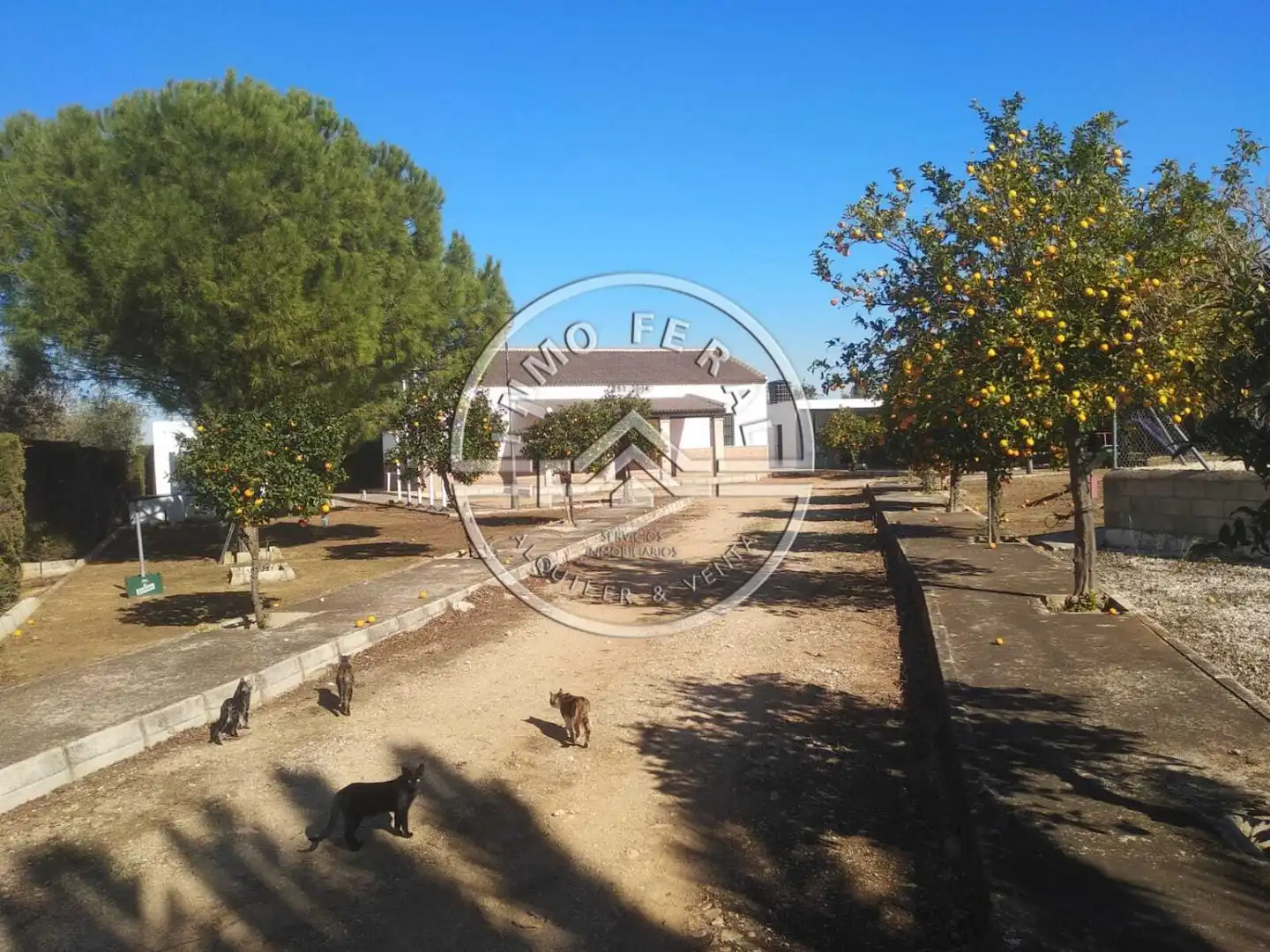 Casa rústica amb piscina en venda a Écija, imagen 17