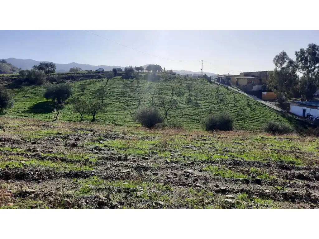 Terrenos y solares en venta en Almogía, imagen 12