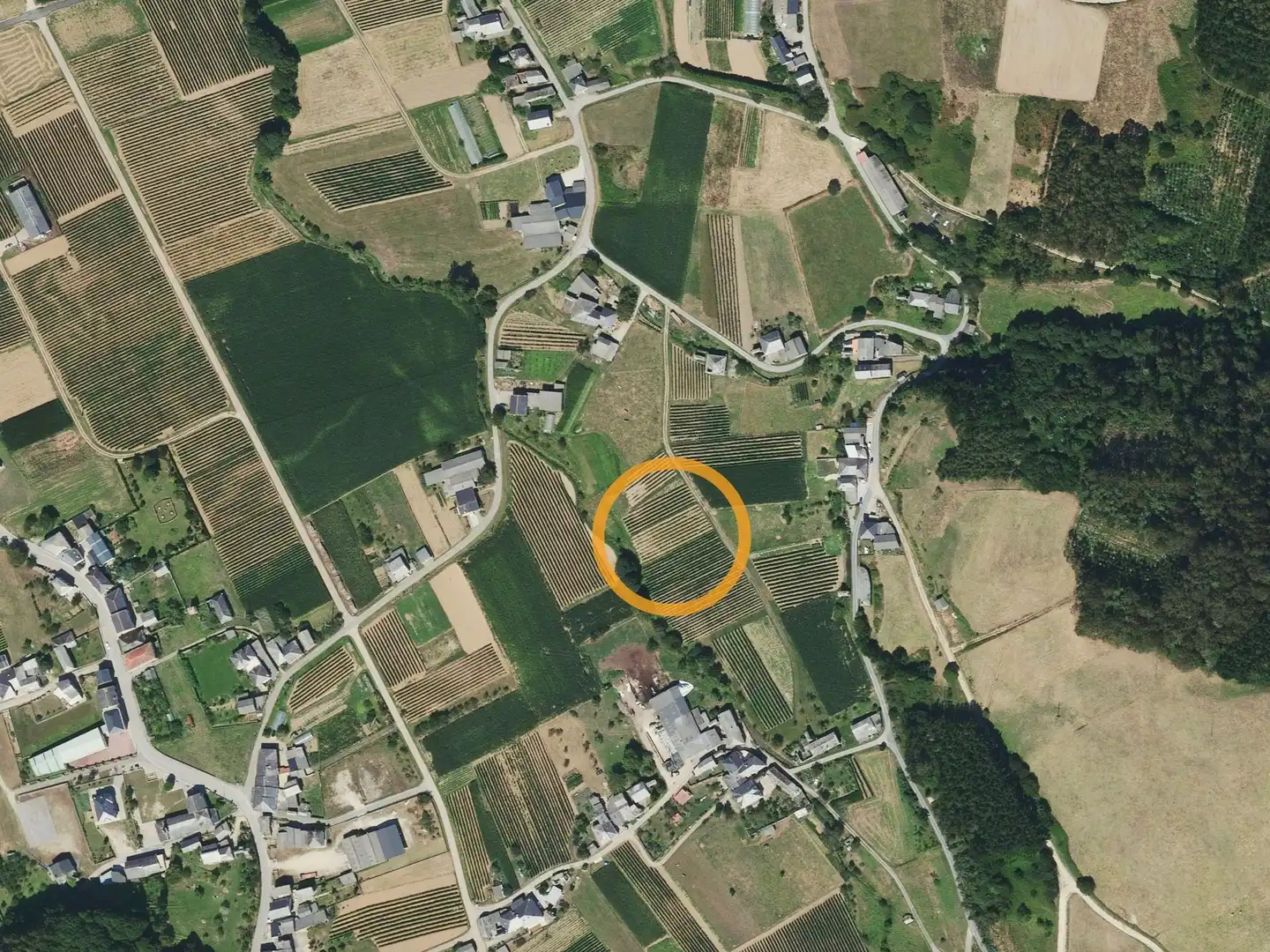 Terreni e lotti in vendita a Ligudin