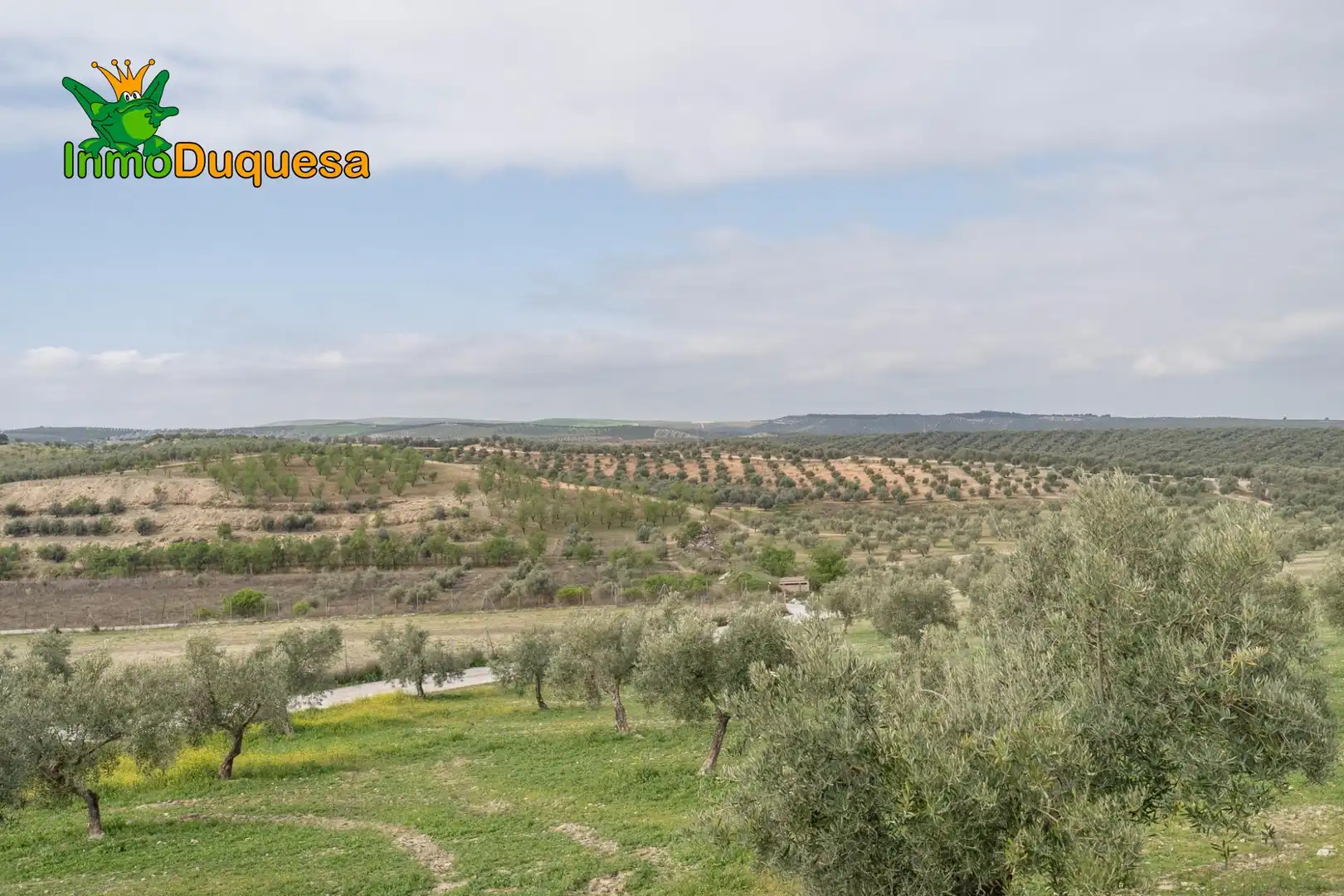 Terreni e lotti in vendita a Cúllar Vega, imagen 12