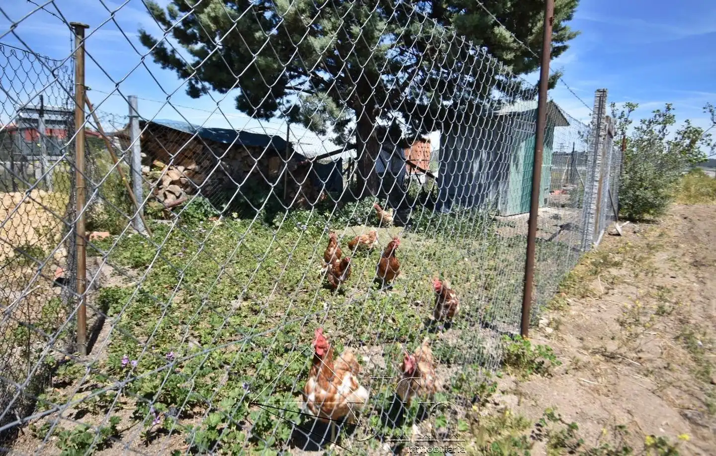 Adossat amb jardí en venda a De Aguasal, imagen 29