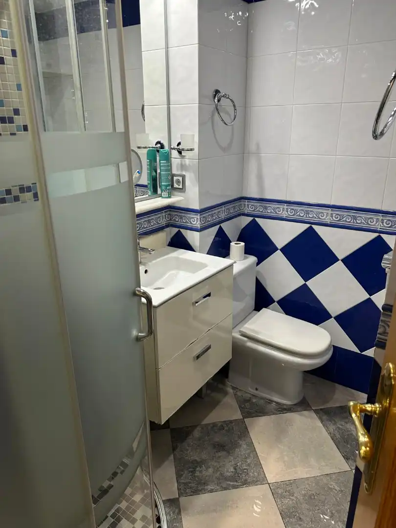 Appartamento in affitto a Pasaje Escritor Pérez de Rivas, imagen 28