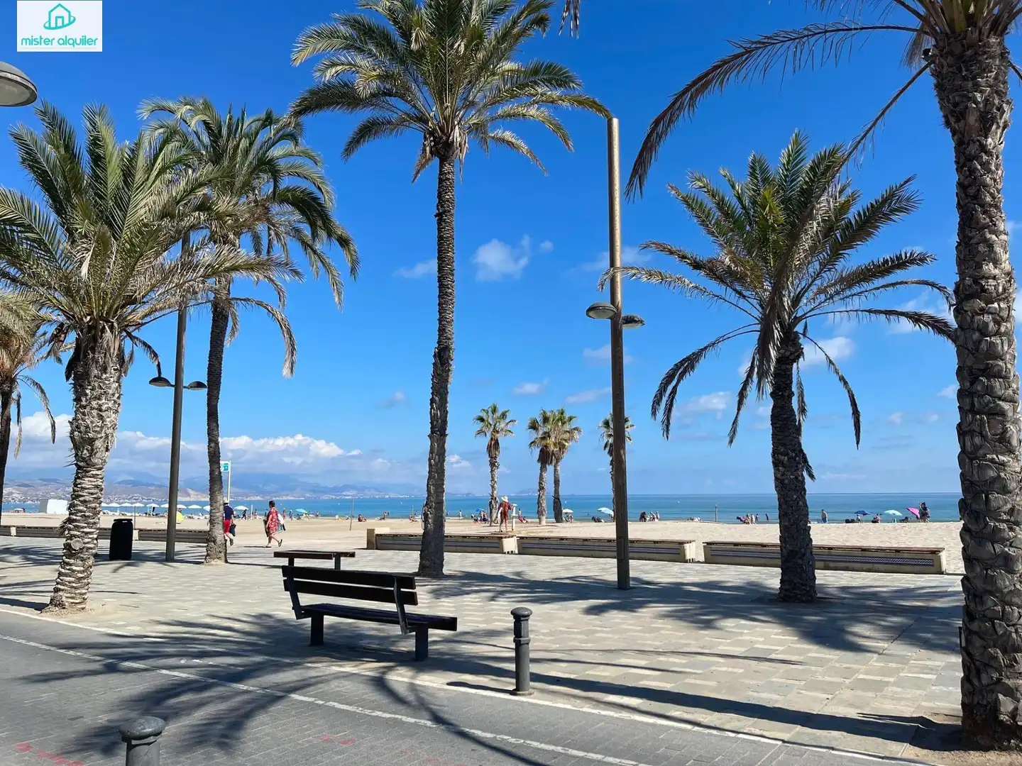 Apartament amb terrassa de lloguer a MAGRANER, DEL 1, imagen 75
