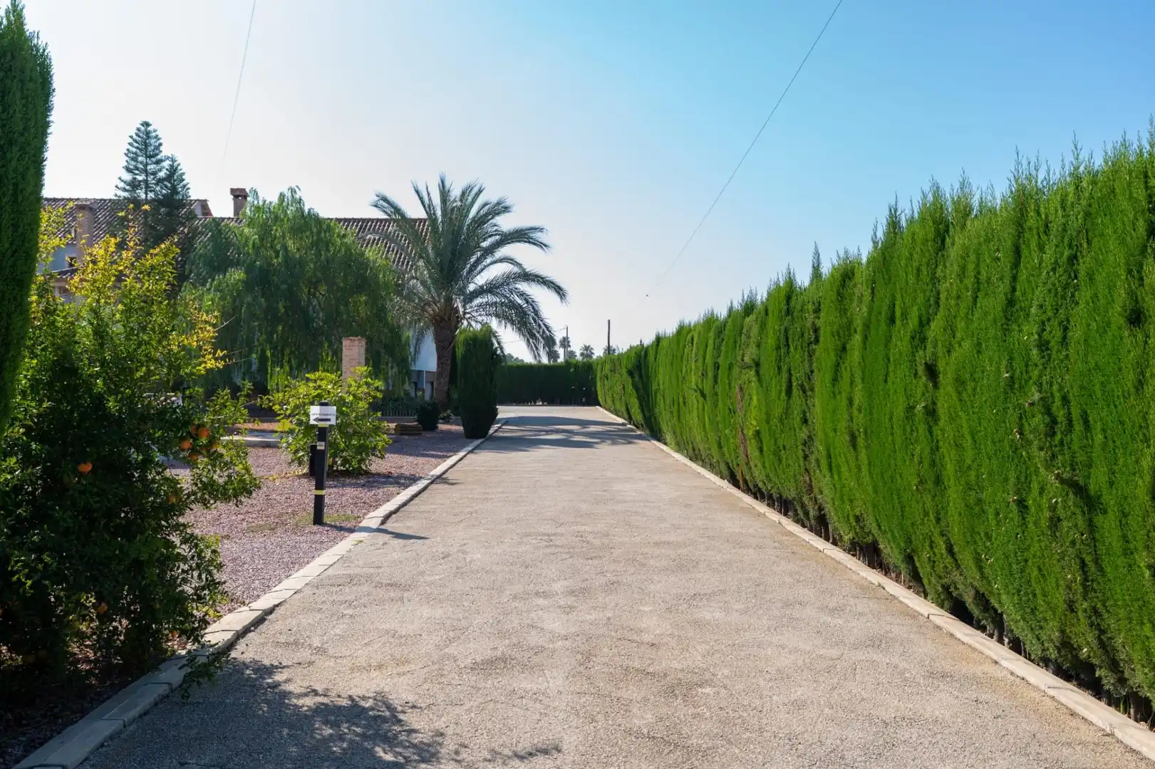 Villa con piscina in vendita a Camino Catral, imagen 62
