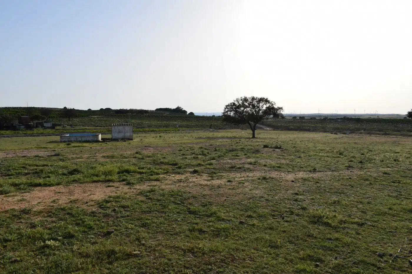 Country homes for sale in Villablanca  with Storage room