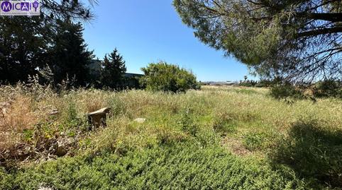 Foto 5 de Casa o chalet en venta en Pelagatos - Pago del Humo, Chiclana de la Frontera