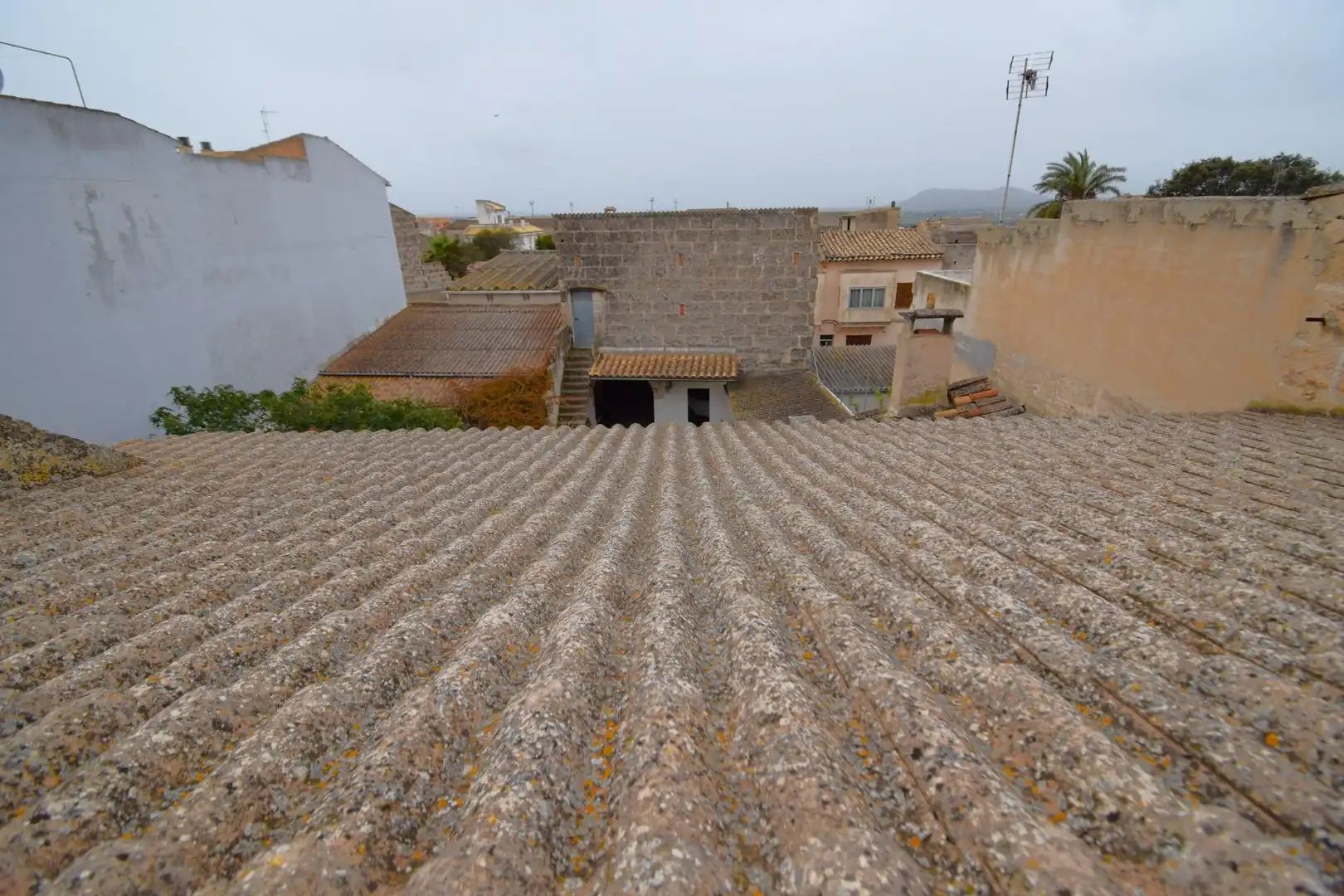 Maison avec jardin à vendre à Muro, imagen 47