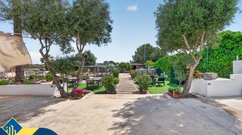 Photo 4 of Houses for sale in Los Arenales del Sol, Elche / Elx