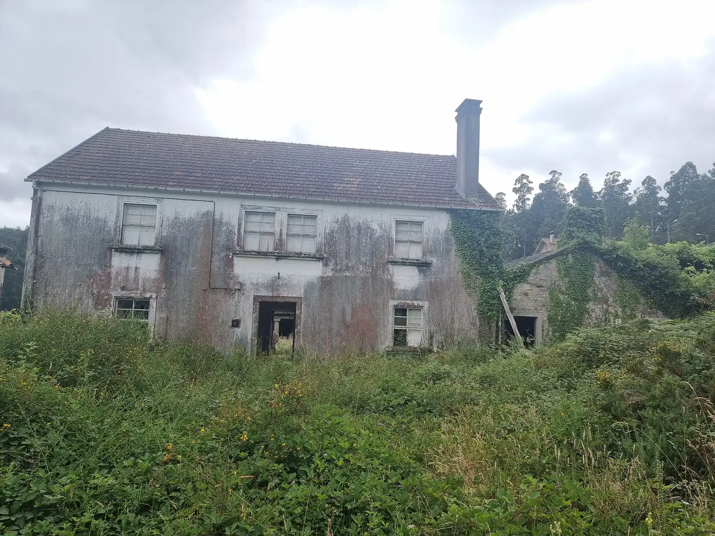 Vista exterior de Casa o xalet en venda en Boqueixón amb Jardí privat, Traster i Balcó