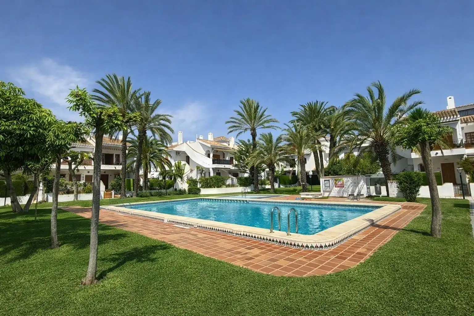 Garden of Detached homes for sale in Pilar de la Horadada  with Terrace, Furnished and Balcony