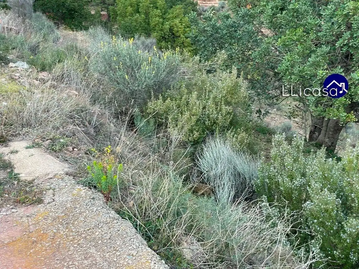 Terreny residencial en venda a Olocau, imagen 2