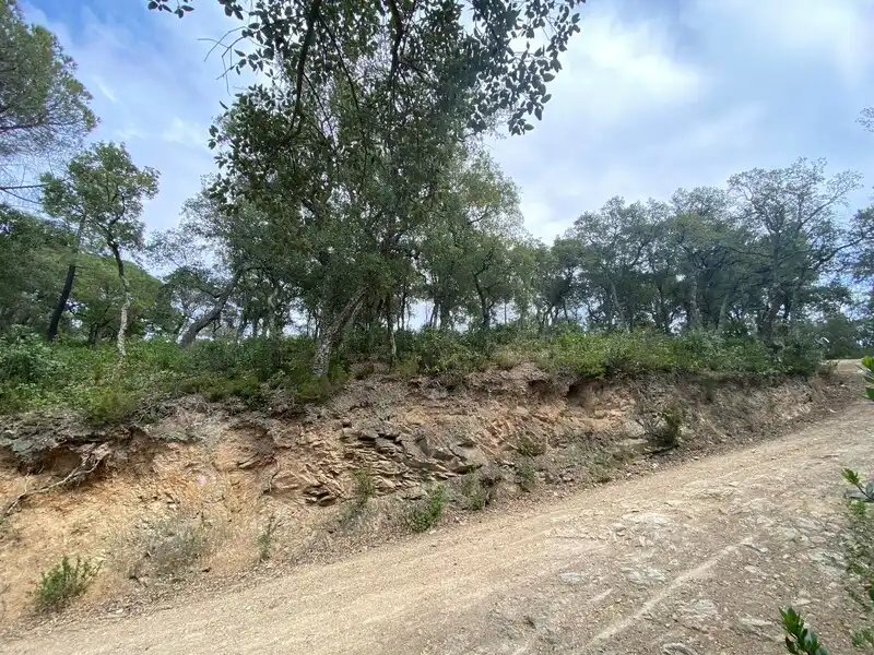 Terreny residencial en venda a Nou Carrer, imagen 5