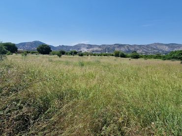Terreno rustico in vendita a Centro