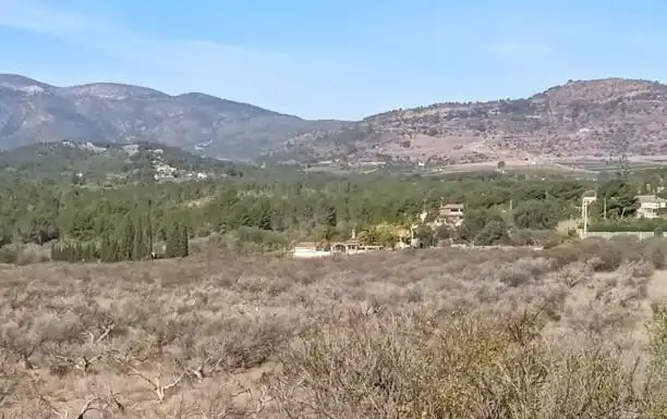 Terreny rústic en venda a Polígono 4 Parcela 89 PENA LISA. ESTIVELLA (VALEN 4, imagen 4