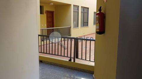 Foto 4 de Piso de alquiler en Paseo Eugenio Lopez, Tegueste, Santa Cruz de Tenerife