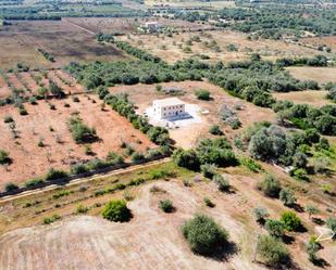 Finca rústica de lloguer a Cami de Son Lledons, Santanyí Poble