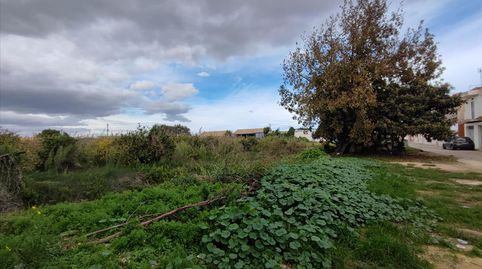 Imatge 5 de l'anunci