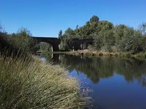 Vista exterior de Terreno en venta en Piedrabuena