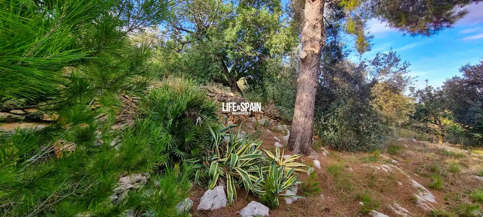 Finca rústica en venda en Roquetes amb Jardí privat i Piscina
