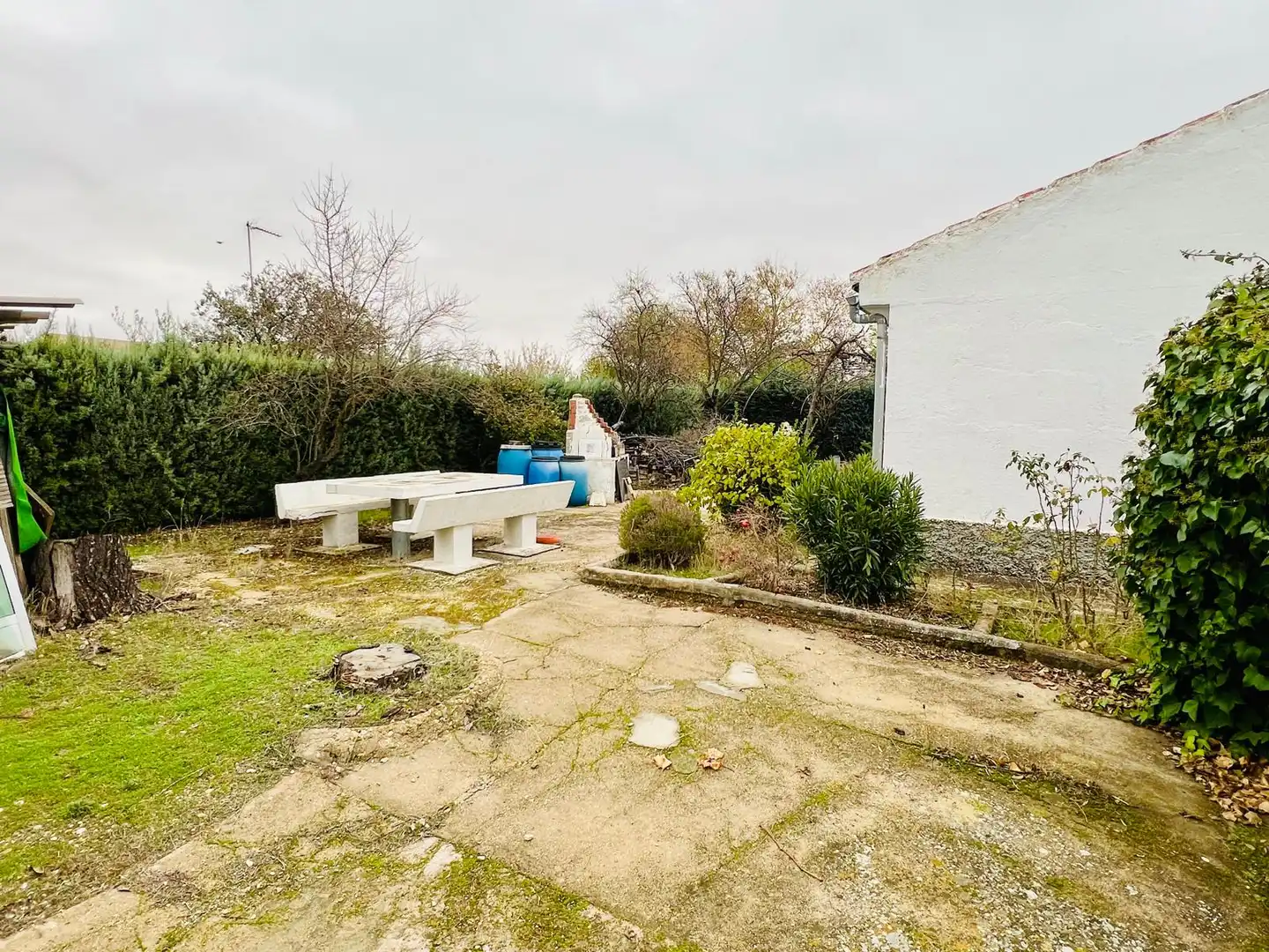 Jardí de Finca rústica en venda en Illana amb Jardí privat i Moblat
