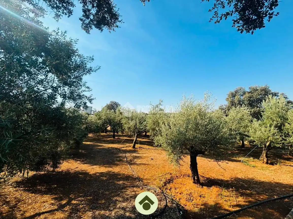 Finca rústica en venta en Adamuz con Aire acondicionado y Piscina