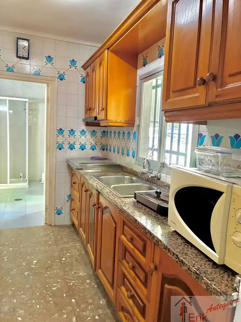 Detached homes for sale in Casco Histórico
