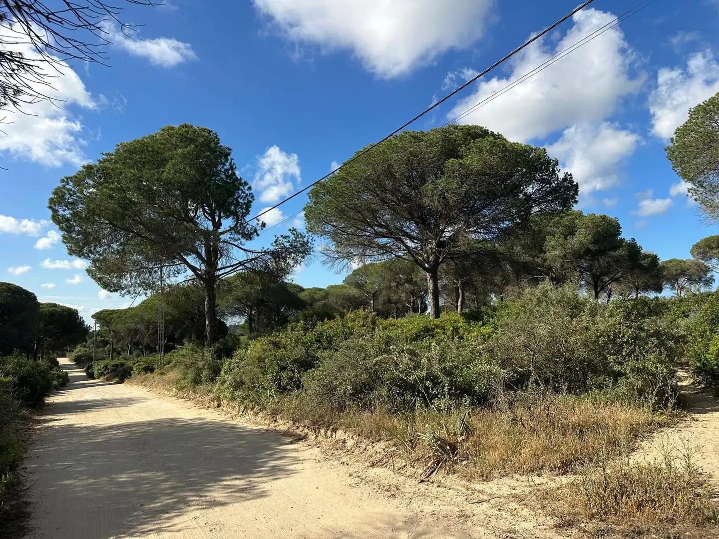 Rural land for sale in Las Lagunas - Campano, imagen 4