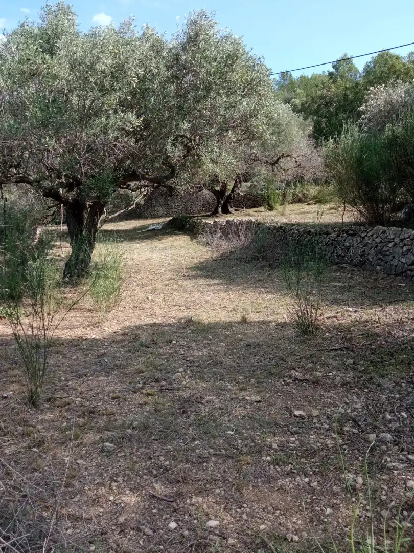 Finca rústica en venda en Tortosa amb Aire condicionat, Calefacció i Jardí privat