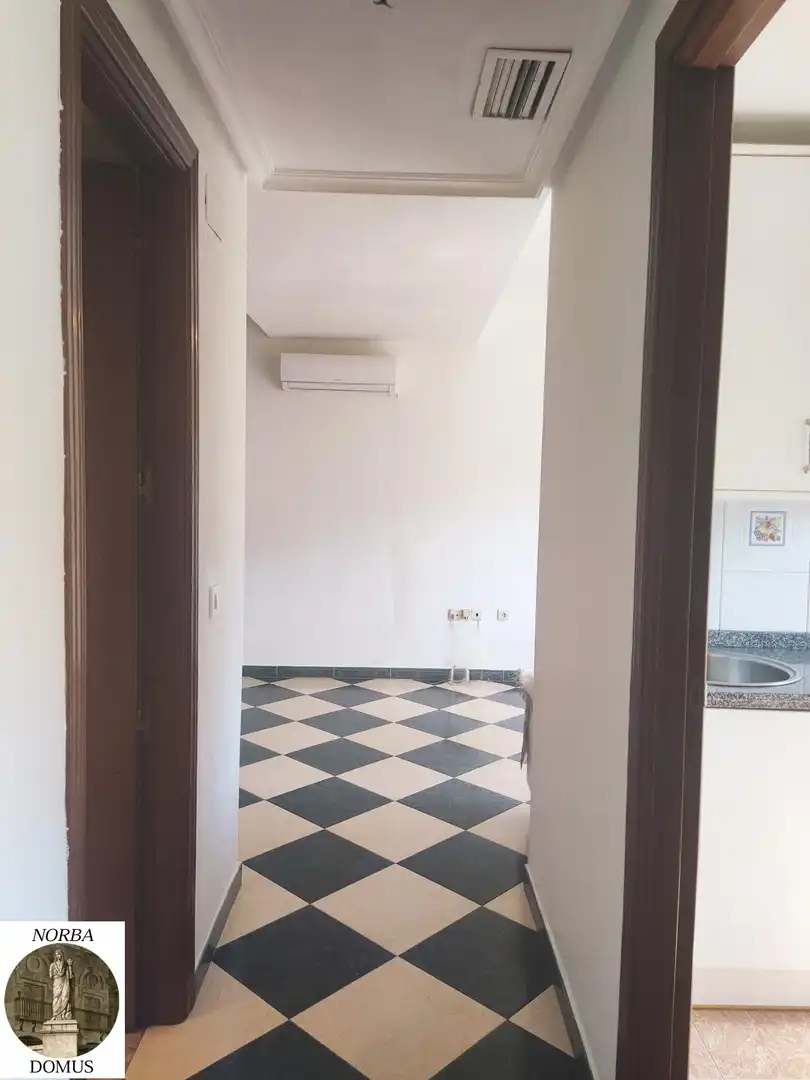 Apartament amb ascensor en venda a Avenida de Alemania 33, imagen 21