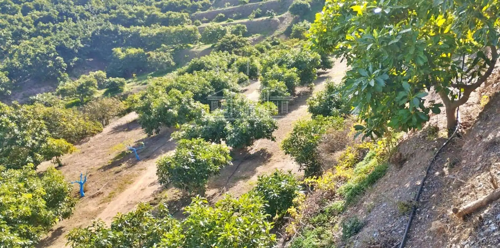 Terreni e lotti in vendita a Barranco del Inglés, imagen 54