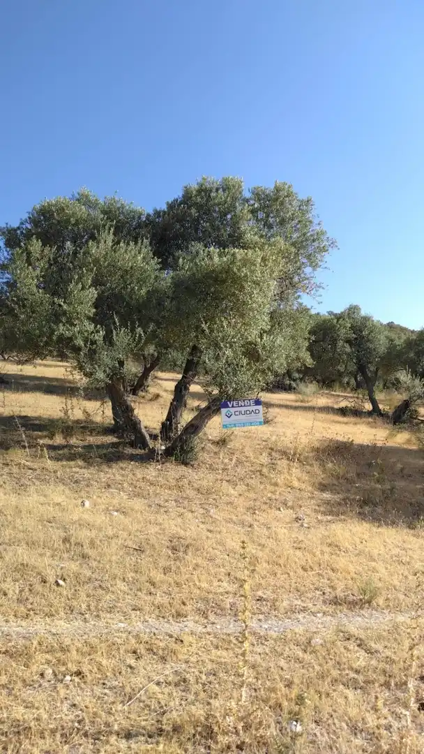 Rural land for sale in Morón de la Frontera, imagen 13