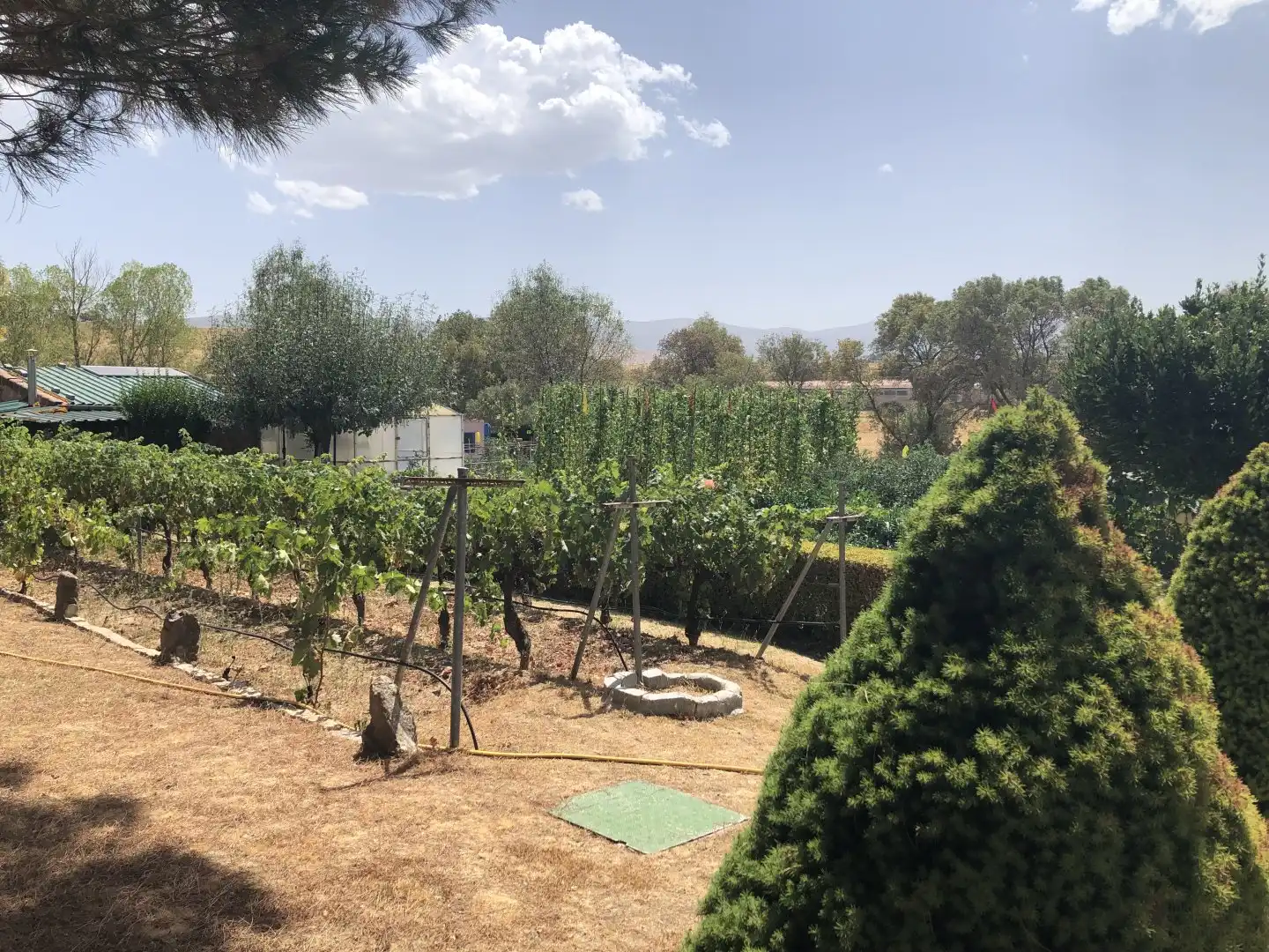 Finca rústica en venda a La Lastrilla