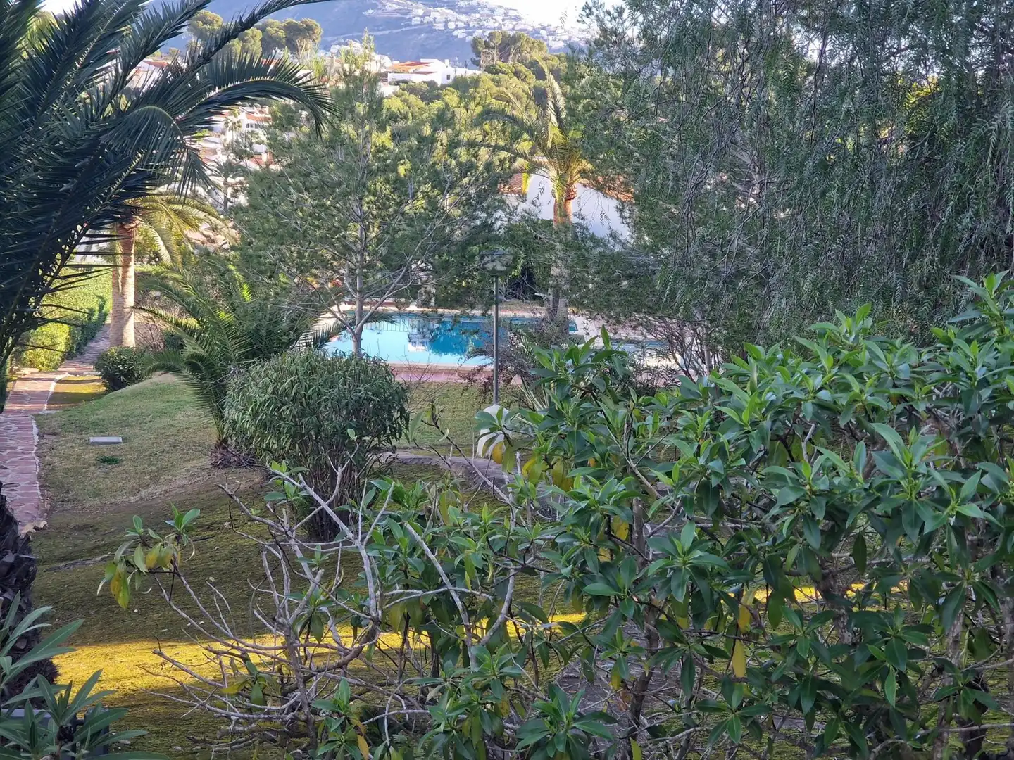 Swimming pool of Houses for sale in Moraira