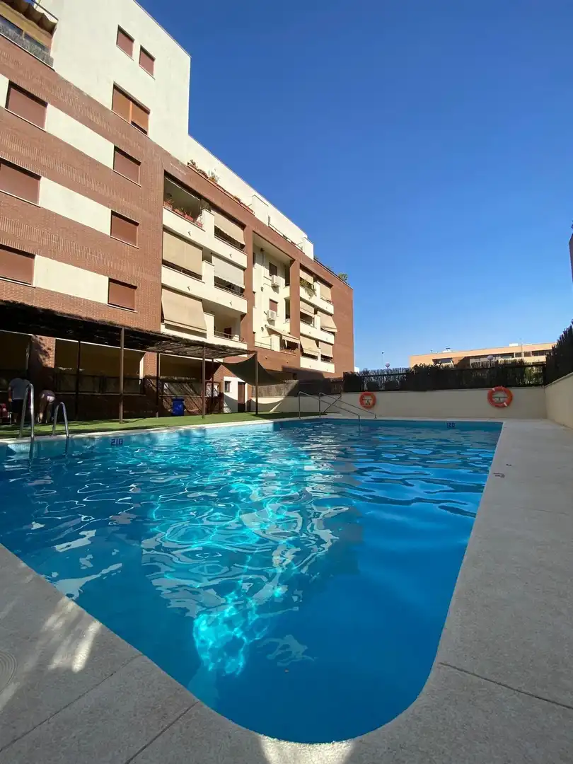 Swimming pool of Flat for sale in Mairena del Aljarafe