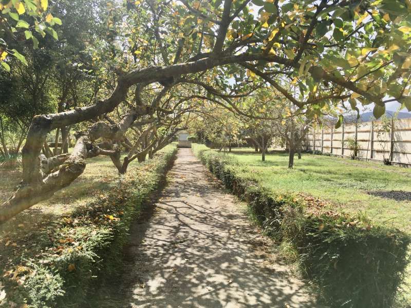 Haus oder Chalet zum verkauf