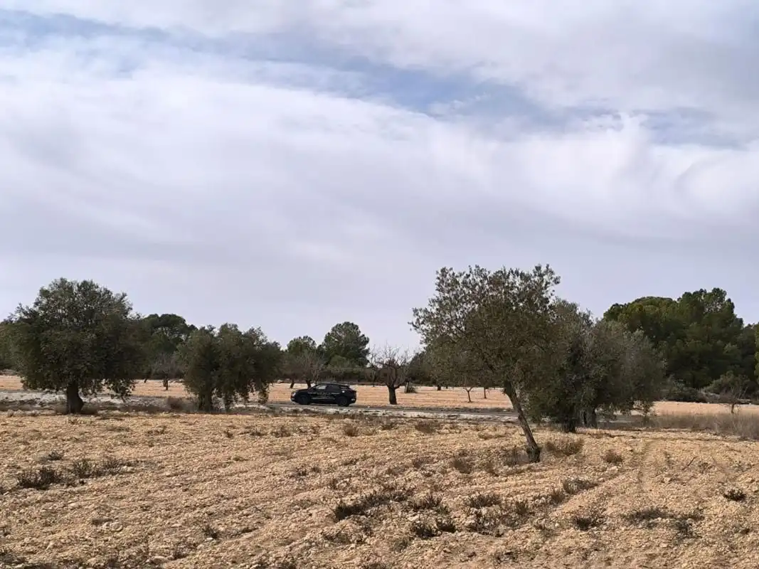 Casa con piscina in vendita a Monóvar  / Monòver, imagen 13