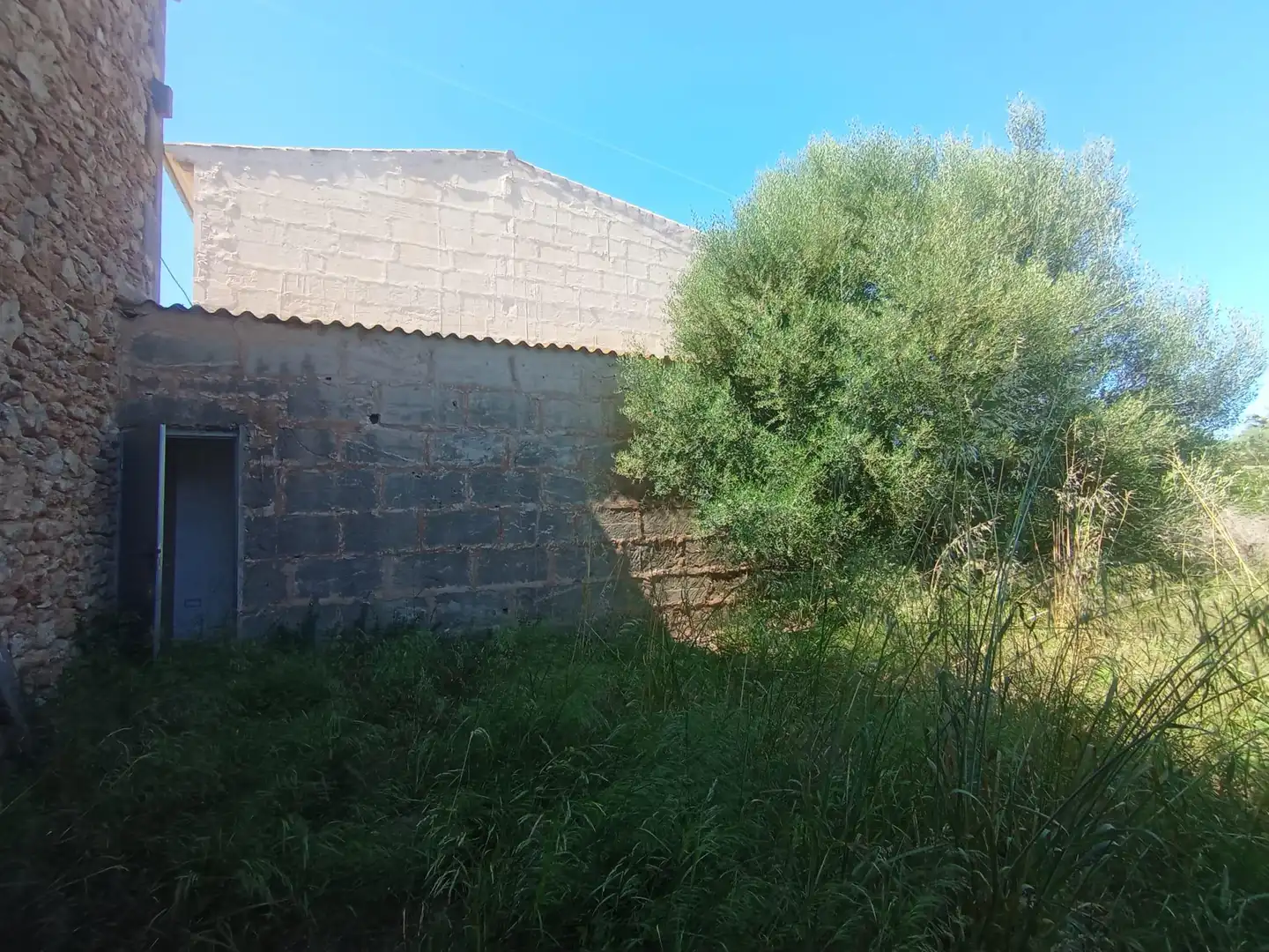 Terreny rústic en venda a Es Llombards, imagen 8