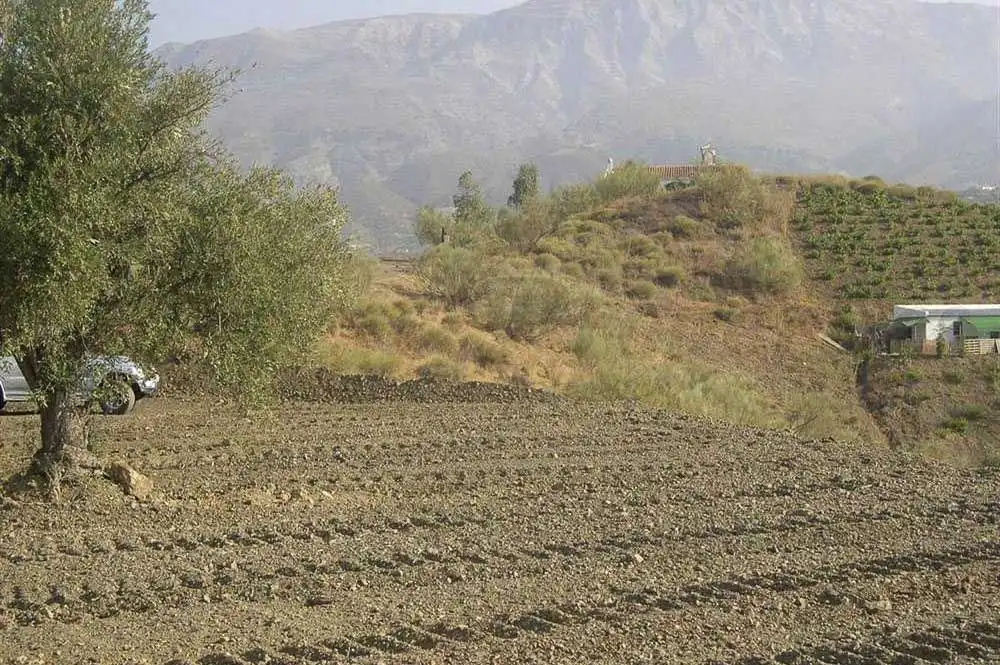 Terreno rústico en venta en Sedella, imagen 4
