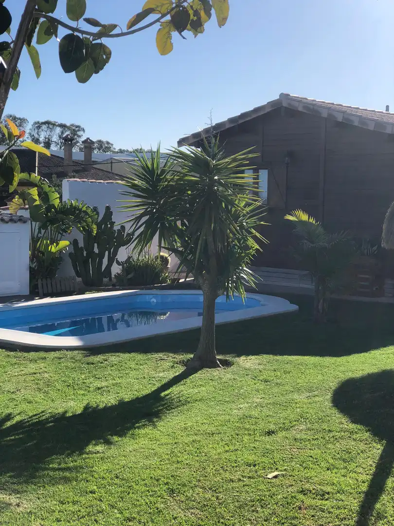Piscina de Casa o xalet de lloguer en Chiclana de la Frontera amb Aire condicionat, Jardí privat i Terrassa
